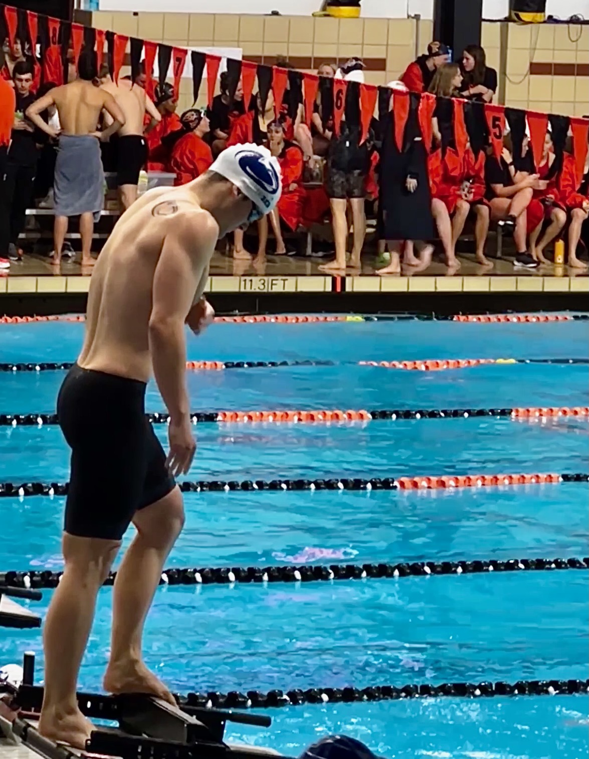Swimming in action